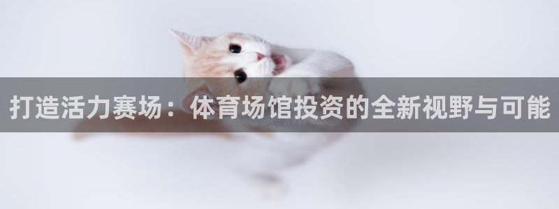 尊龙t500和t300区别