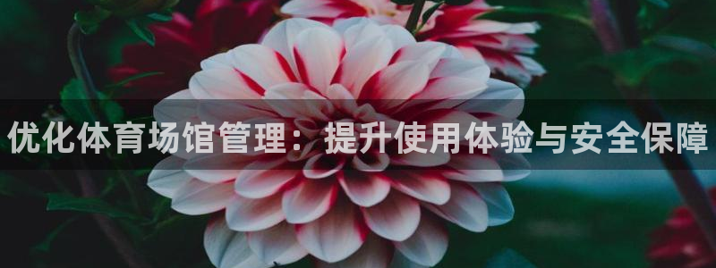 尊龙z6集团