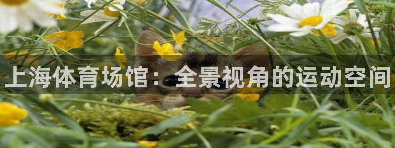 尊龙 下载