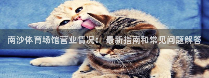 z6com尊龙凯时百家乐：南沙体育场馆营业情况： 最新指南和