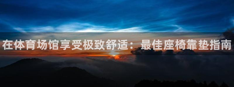 尊龙专访视频：在体育场馆享受极致舒适：最佳座椅靠垫指南